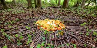 Natur-Zeremonie mit Blüten