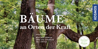 Zusammenwachsungen von Ästen eines Baumes