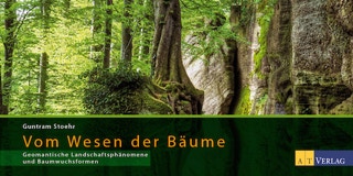 Baum mit Drehwuchs an Felsen