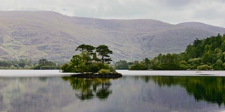 Kleine Insel im See