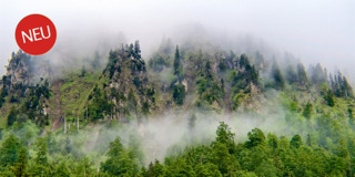 Wand am Berghang mit Nebel